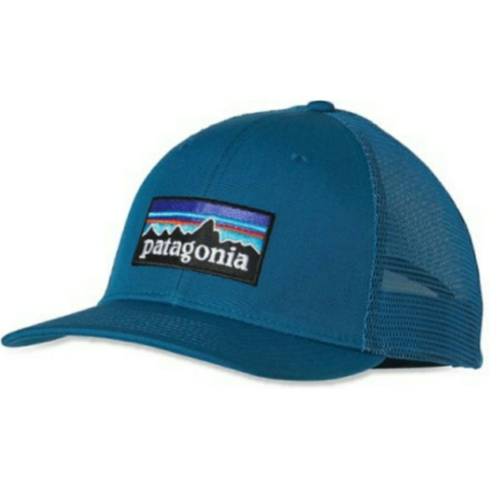 Patagonia trucker hat